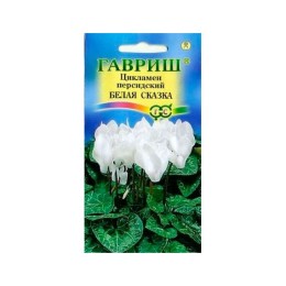 Цикламен персидский Белая сказка 3шт (Гавриш)
