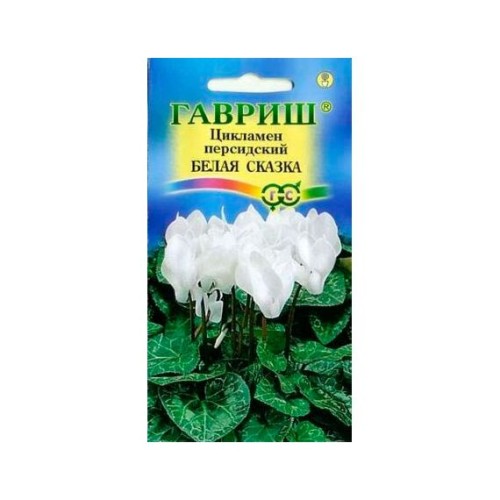Цикламен персидский Белая сказка 3шт (Гавриш)