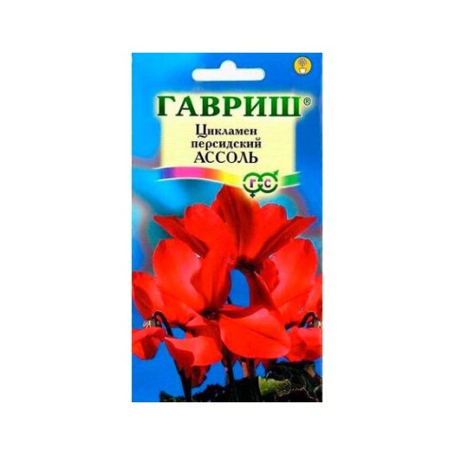Цикламен персидский Ассоль 3шт (Гавриш)