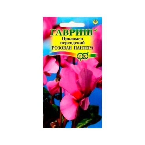 Цикламен персидский Розовая пантера 3шт (Гавриш)