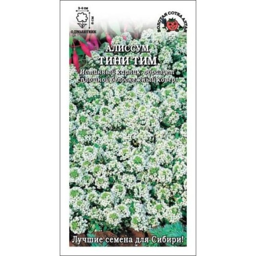 Алиссум Тини Тим 0.1г (Золотая сотка Алтая)