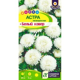 Астра низкорослая Белый ковер 0.1г (Семена Алтая)