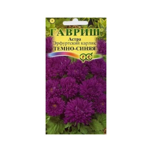 Астра Эрфуртский карлик Темно-синяя 0.3г (Гавриш)