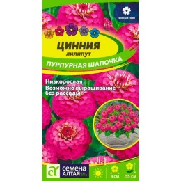 Цинния лилипут Пурпурная шапочка 0.3г (Семена Алтая)