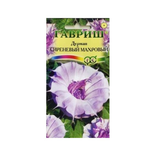 Дурман древовидный Сиреневый Махровый 3шт (Гавриш)