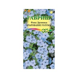 Флокс Друммонда Очарование голубое 0.05г (Гавриш)