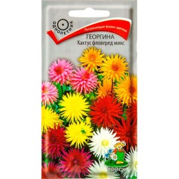 Георгина Кактус фловеред микс 0.2г (Поиск)