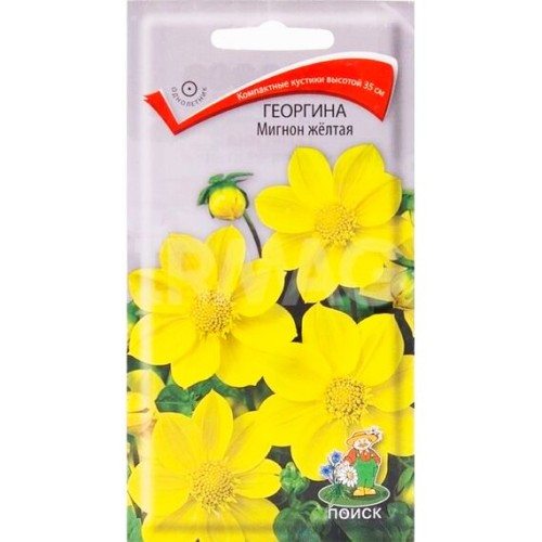 Георгина Мигнон жёлтая 0.2г (Поиск)