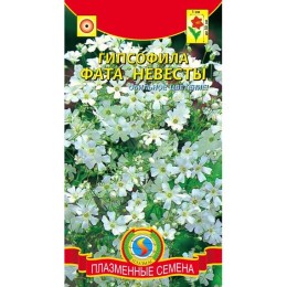 Гипсофила Фата невесты (Плазмас)