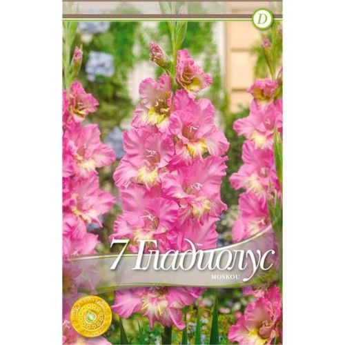 Гладиолус Москва 1шт