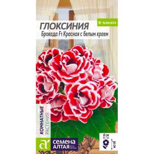 Глоксиния Брокада F1 Красная с белым краем 5шт (Семена Алтая)