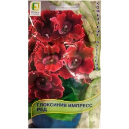 Глоксиния Импресс ред 5шт (Поиск)