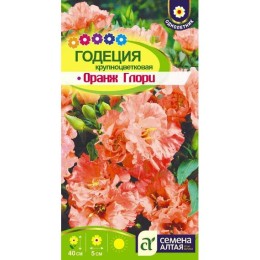 Годеция крупноцветковая Оранж Глори 0.2г (Семена Алтая)