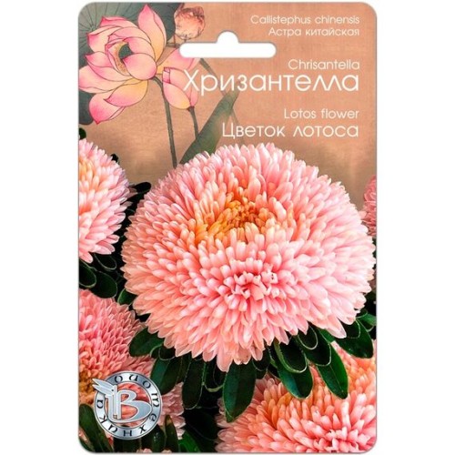 Астра китайская Хризантелла Цветок лотоса 30шт (Биотехника)