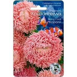 Астра китайская Хризантелла Коралл 30шт (Биотехника)