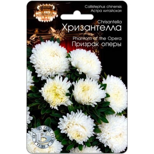 Астра китайская Хризантелла Призрак оперы 30шт (Биотехника)