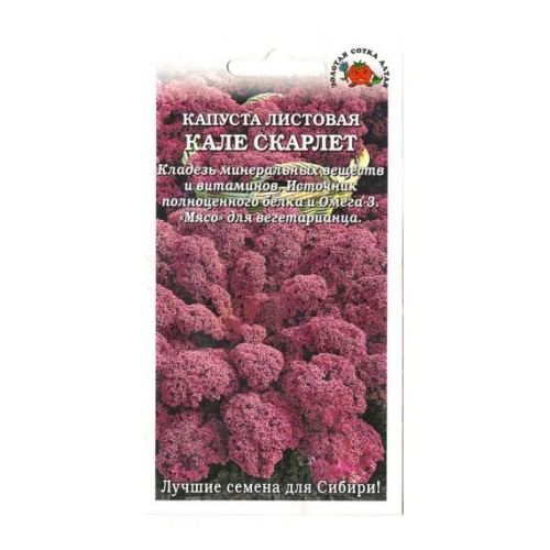 Капуста листовая Кале Скарлет 0.3г (Золотая Сотка)