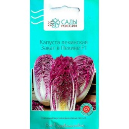 Капуста пекинская Закат в Пекине 8шт (Сады России)