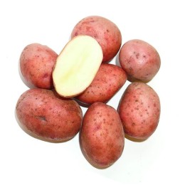 Картофель Любава, сетка ~2.5 кг (Семена Алтая)