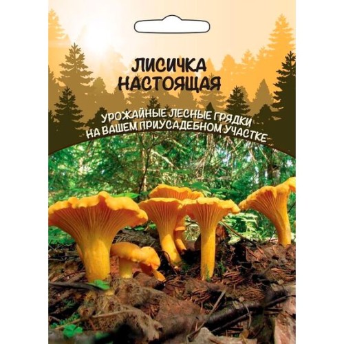 Лисичка Настоящая 30мл (Уральский дачник)