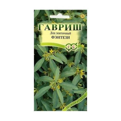 Лох зонтичный Фэнтези (Гавриш)