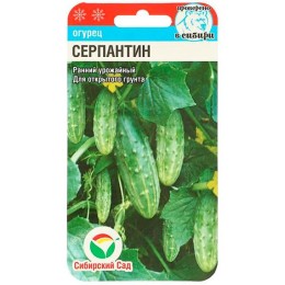 Огурец Серпантин 10шт (Сибирский Сад)