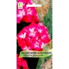 Пеларгония зональная Люстра Биколор 5шт (Поиск)