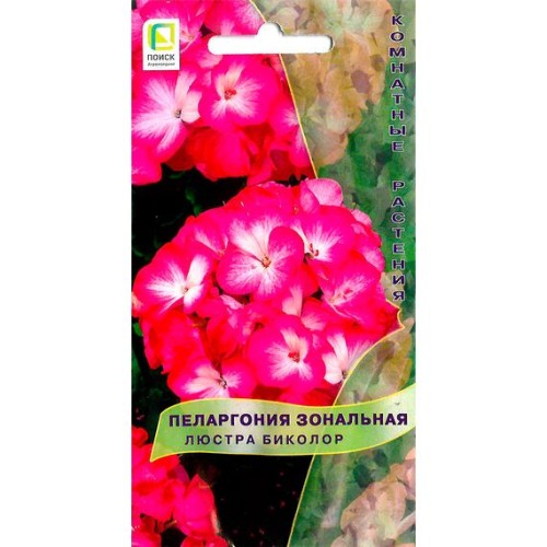 Пеларгония зональная Люстра Биколор 5шт (Поиск)