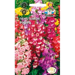Пенстемон Рубра (СеДеК)
