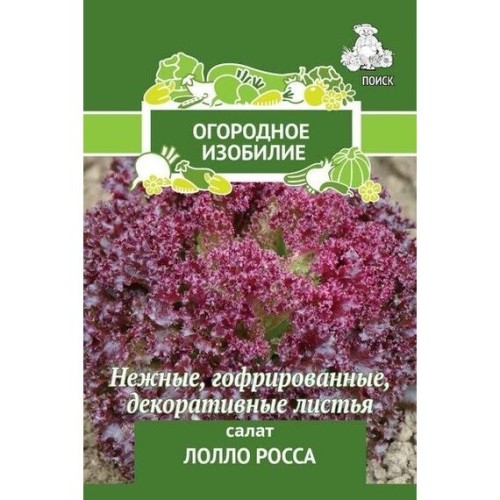 Салат Лолло Росса 1г (Поиск)