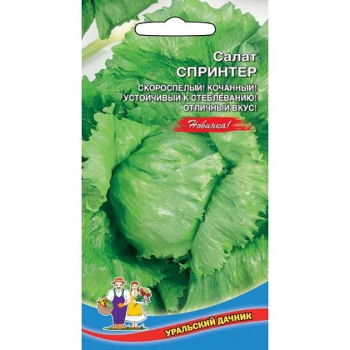 Салат Спринтер кочанный 0.3г (Уральский дачник)