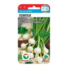 Лук на зелень Помпеи 0.5г (Сибирский Сад)