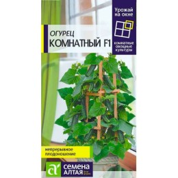 Огурец Комнатный F1 "Урожай на окне" 5шт (Семена Алтая)