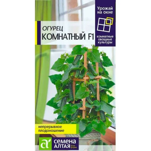 Огурец Комнатный F1 "Урожай на окне" 5шт (Семена Алтая)