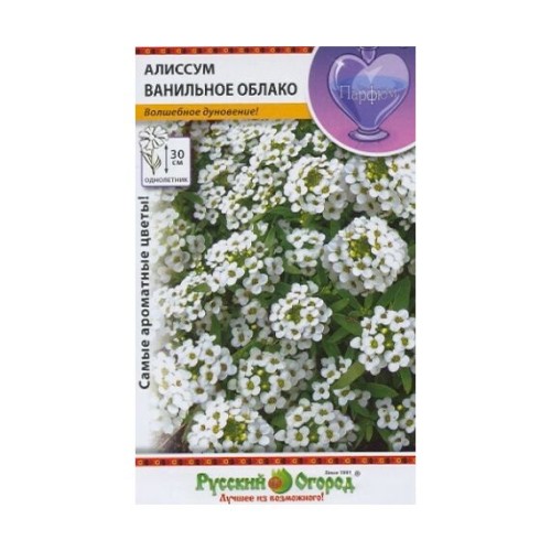 Алиссум Ванильное облако 0.1г (Русский огород)