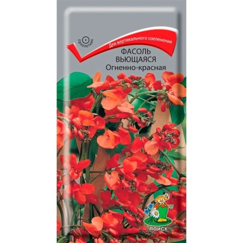 Фасоль вьющаяся Огненно-красная 5шт (Поиск)