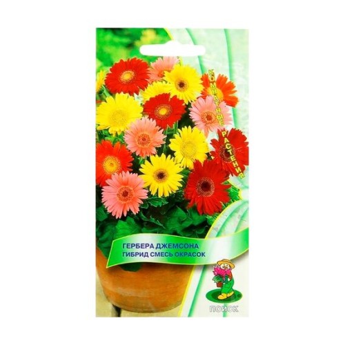 Гербера Джемсона Гибрид смесь окрасок 10шт (Поиск)