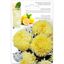 Астра китайская Хризантелла Лимончелло 30шт (Биотехника)