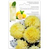 Астра китайская Хризантелла Лимончелло 30шт (Биотехника)