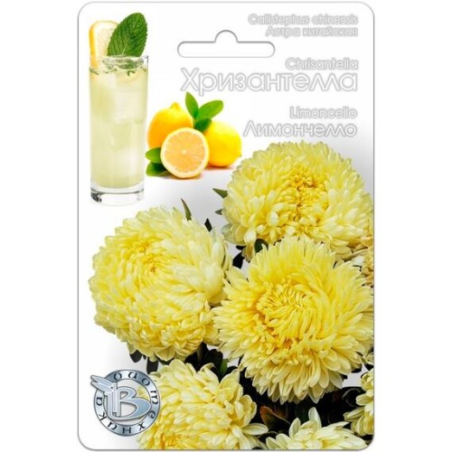 Астра китайская Хризантелла Лимончелло 30шт (Биотехника)
