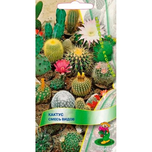 Кактус смесь видов 0.1г (Поиск)