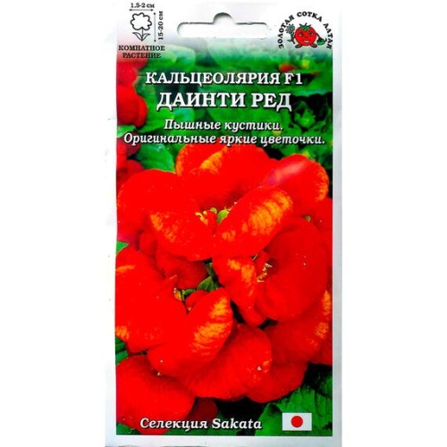 Кальцеолярия Даинти F1 Ред 5шт (Золотая сотка)