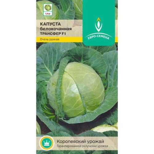 Капуста белокочанная Трансфер F1 0.1г (Евро-семена)