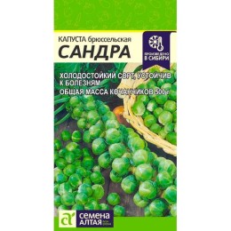 Капуста брюссельская Сандра 0.5г (Семена Алтая)