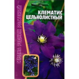 Клематис Цельнолистный 5шт (Семена редких растений)