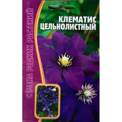 Клематис Цельнолистный 5шт (Семена редких растений)