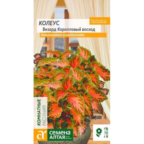Колеус Визард Коралловый восход 5шт (Семена Алтая)