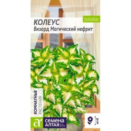 Колеус Визард Магический нефрит 5шт (Семена Алтая)