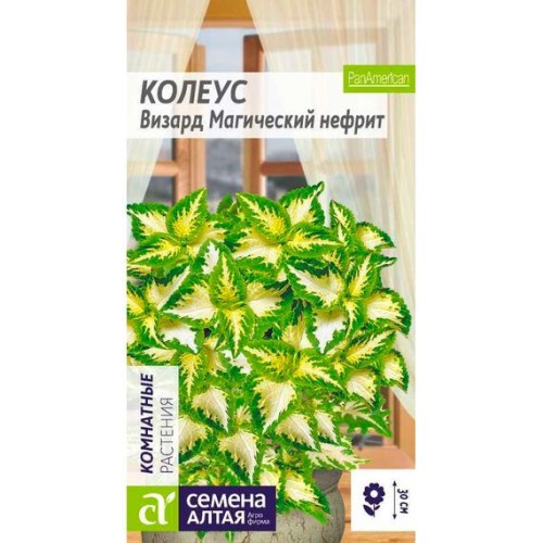 Колеус Визард Магический нефрит 5шт (Семена Алтая)
