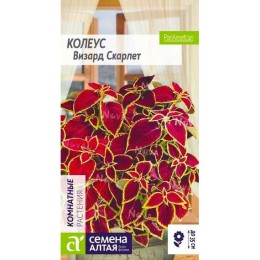 Колеус Визард Скарлет 5шт (Семена Алтая)